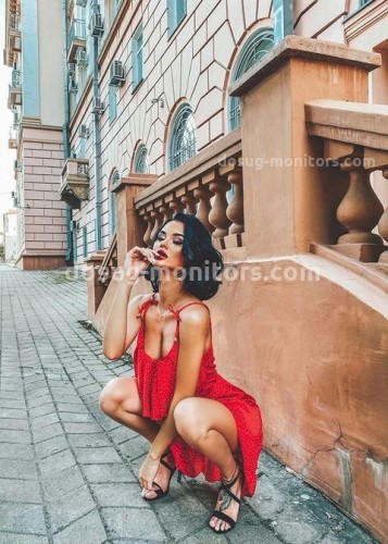 ЭЛЛА, Г. Саров